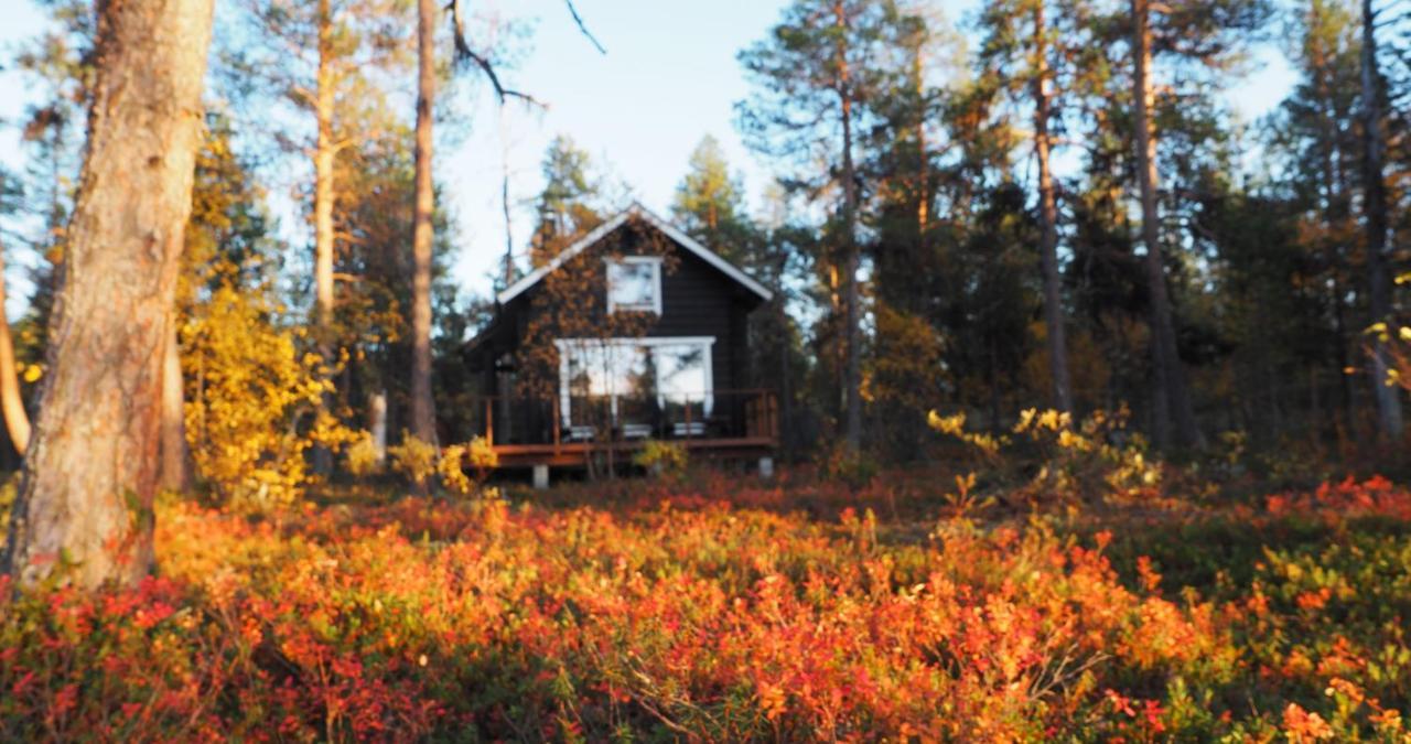 Lapintintti Eco-Cabin In إيناري المظهر الخارجي الصورة